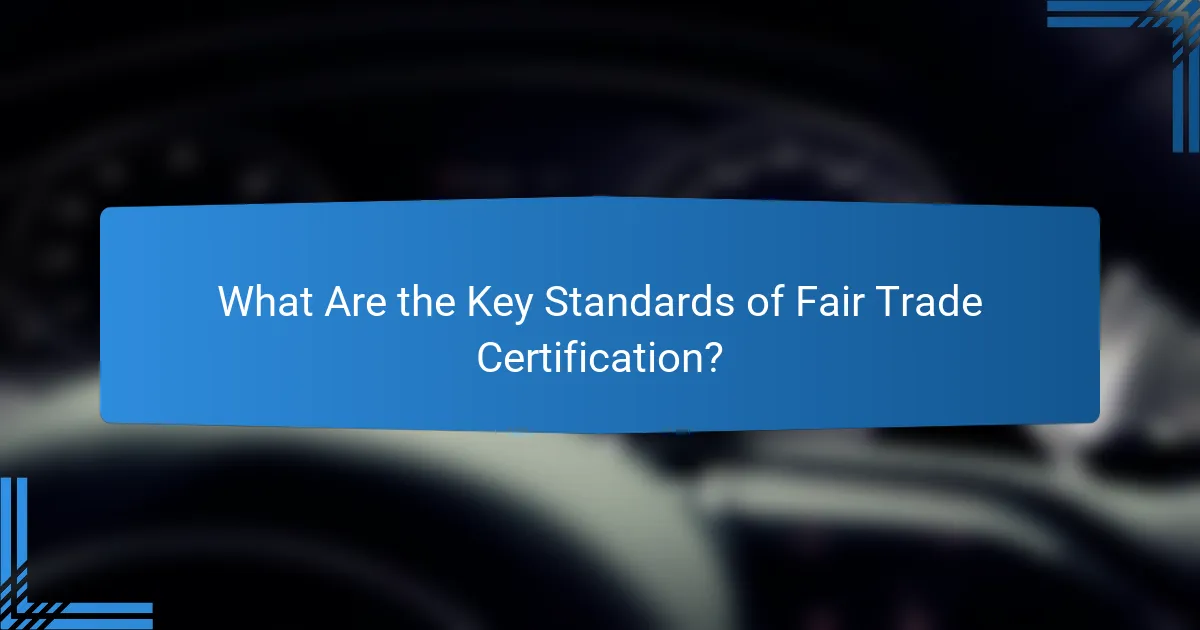 What Are the Key Standards of Fair Trade Certification?
